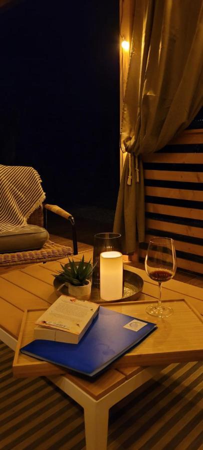 Mobilehome Elena Premium With Pool, Istria 班约勒 外观 照片